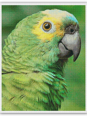Papagaio - gráfico ponto cruz