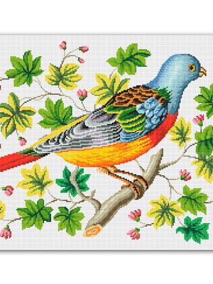 Pássaro colorido - gráfico ponto cruz