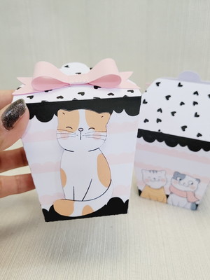 Caixa sushi gatinho
