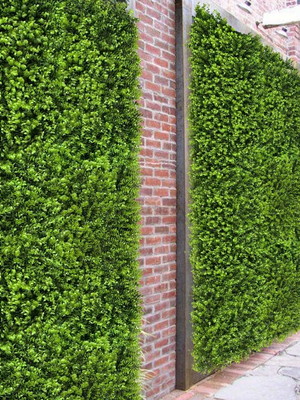 20 quadros folhagens artificiais eucalipto p jardim vertical