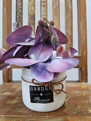 Vaso com orquídeas