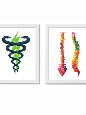 Quadros coluna vertebra tamanho:20x30cm molduras:brancas
