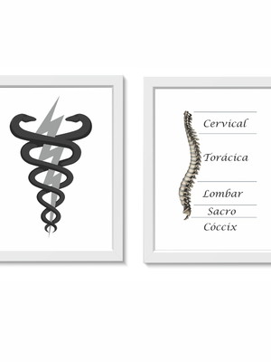 Quadros coluna vertebral tamanho:20x30 molduras:brancas
