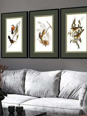 Kit 3 quadros animais pássaros passarinhos ninho molduras