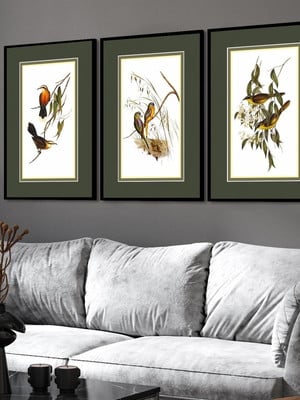 Kit 3 quadros decorativos pássaros verde com moldura vidro