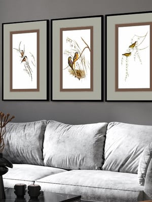 Kit 3 quadros animais pássaros passarinhos galhos molduras
