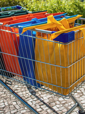 Bolsas ecológicas para compras kit com 4 sendo 1 térmica