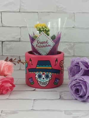 Vaso pote mexicano pink c.3008