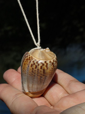 Biojóia coleção joias do mar