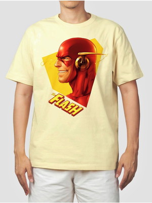 Camiseta the flash barry allen nerd geek