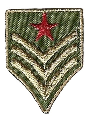 Brasão militar