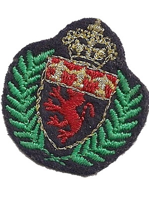 Breasão coroa
