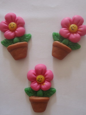 Ímã flores