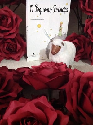 Rosas de papel