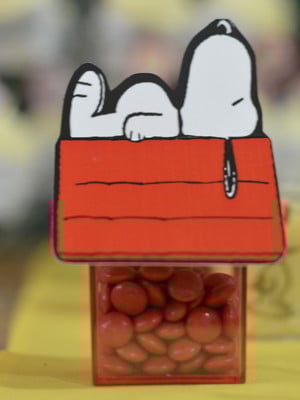 Caixinha de acrílico snoopy