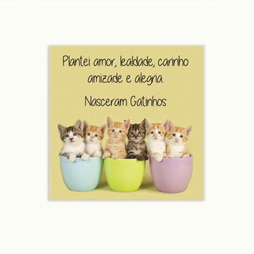 Quadro Decorativo Plantei Gatinhos