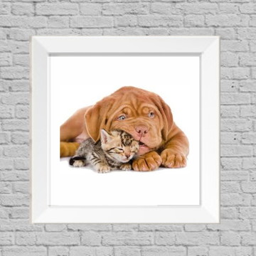 Quadro animais 2