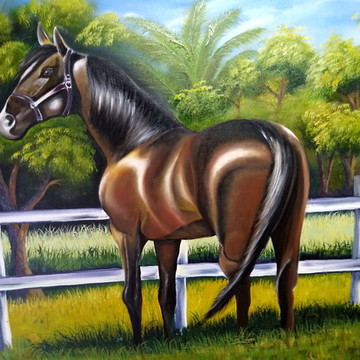 Quadro decorativo Cavalo Preto no Campo Pulando