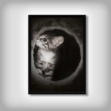 Quadro de "Gatinho"