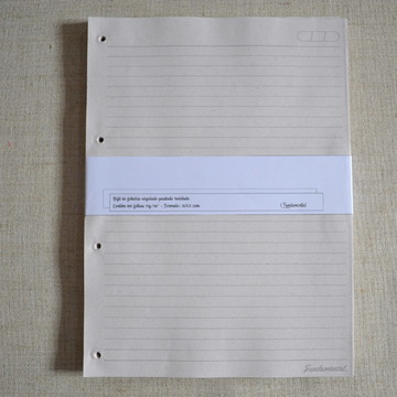 REFIL RECICLADO PAUTADO UNIVERSITÁRIO DE CADERNO ARGOLADO