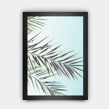 Quadro Decorativo Pôster Folhagem Tropical Folha Palmeira
