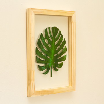 Quadro Costela de Adão - 24x33cm