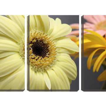 Quadro Decorativo duas flores diferentes 30x66