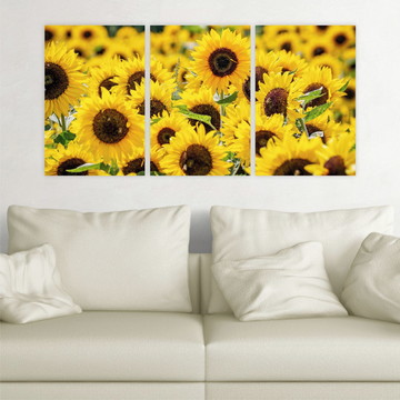 Kit Quadros Decorativos em MDF - Campo Girassóis 30x40
