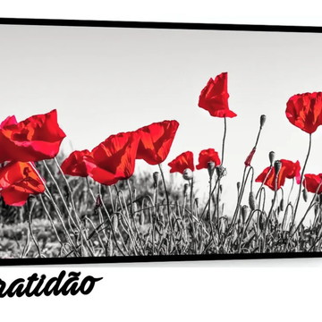 1 Quadro Grande Paisagem Flor Rosa Vermelha Molduras