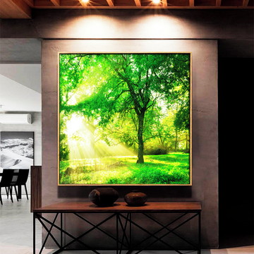 Quadro Floresta Verde Dia de Sol Canvas e Moldura 80x80