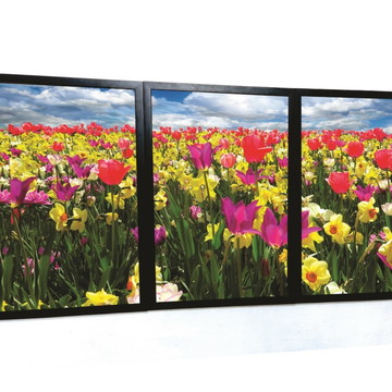 Quadro decorativo de Flores, 126X62cm, Com moldura e vidro
