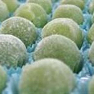 Surpresa de uva cento