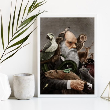 Quadro decorativo darwin com animais-a4 com vidro