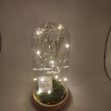 Cúpula com led - com plaquinhas diversas