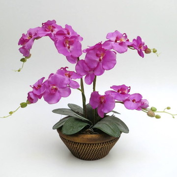 ARRANJO ORQUÍDEAS - 4 RAMOS - PINK