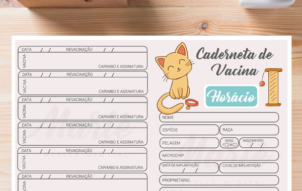 Download A Vacinação De Cães E Gatos - Caes E Gatos Desenho - Full