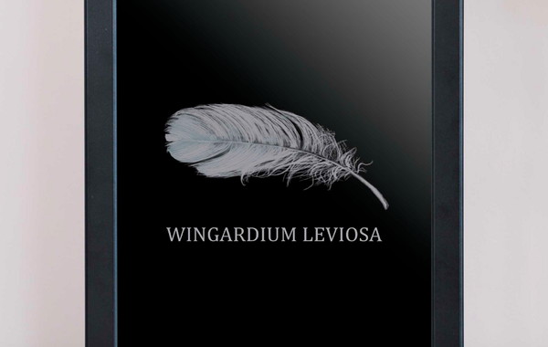 Wingardium Leviosa Modelo