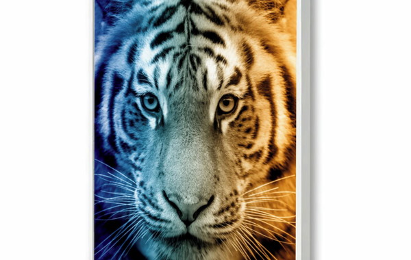 Quadro Decorativo Canvas Animal Selvagem Tigre Por do Sol