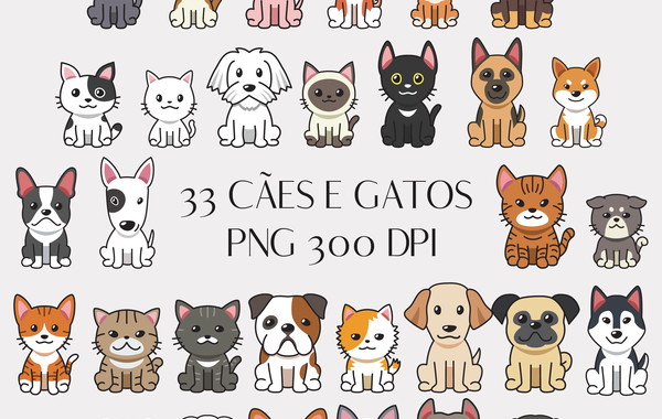 Gatinhos fofos png