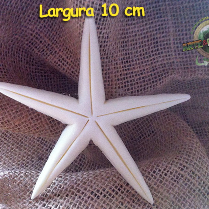Imagem 2 - ESTRELA DO MAR - Enfeite
