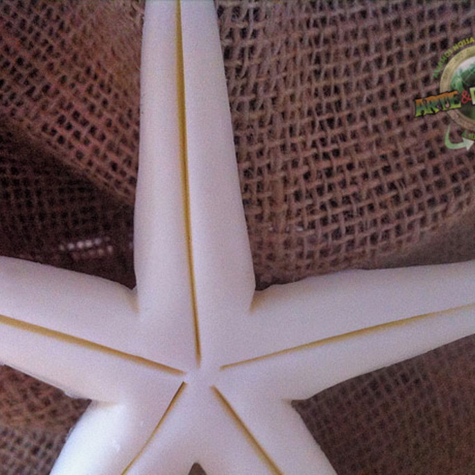 Imagem 3 - ESTRELA DO MAR - Enfeite