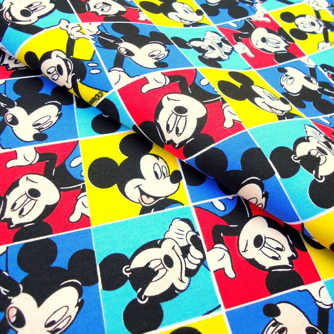 Imagem 4 - Tecido Mickey