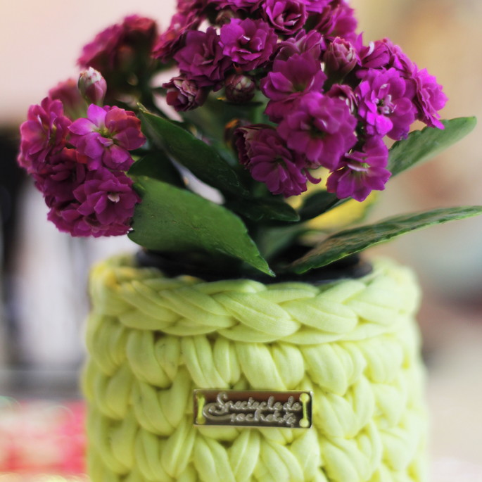 Imagem 2 - Mini Cachepôs