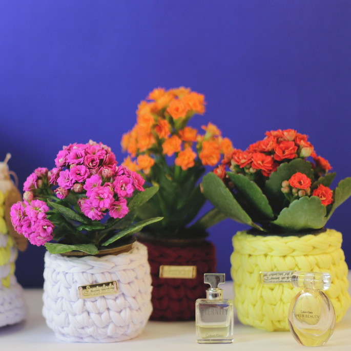 Imagem 5 - Mini Cachepôs