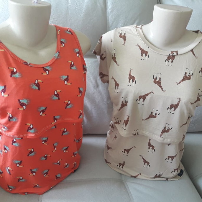 Imagem 2 - básicas amamentação