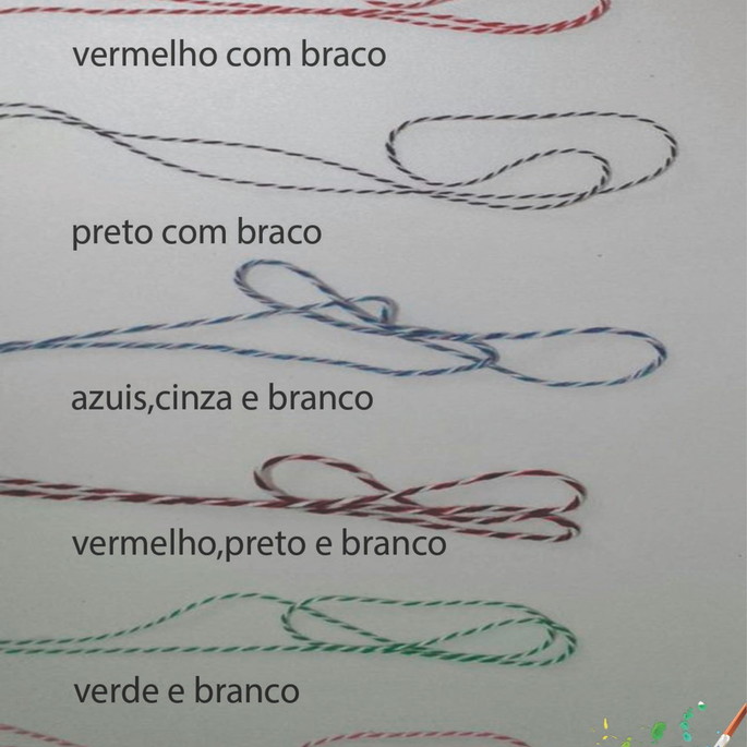 Imagem 2 - Tag Especial(com Cordão)-piu Piu