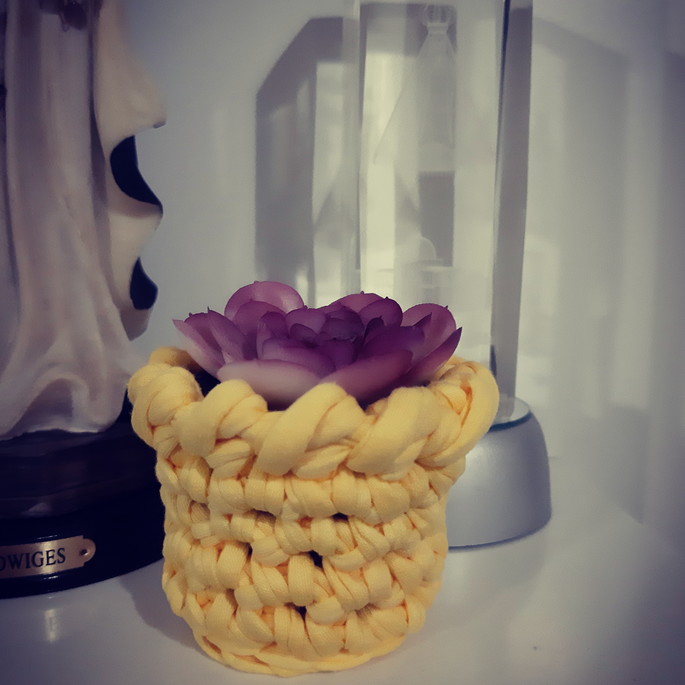 Imagem 3 - Mini cachepot