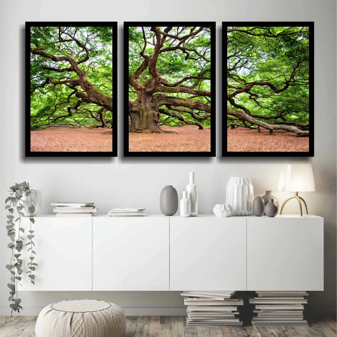 Imagem 1 - Kit 3 Quadros Decorativos Florestas Arvores Botânico Moldura