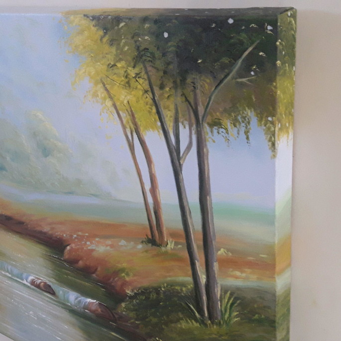 Imagem 2 - Lagoa 60x90