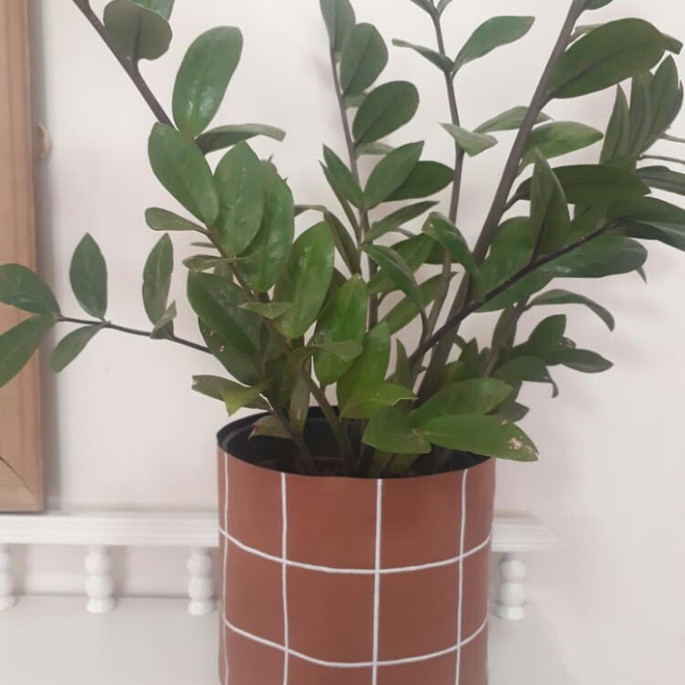 Imagem 4 - Cachepot Boho Grid